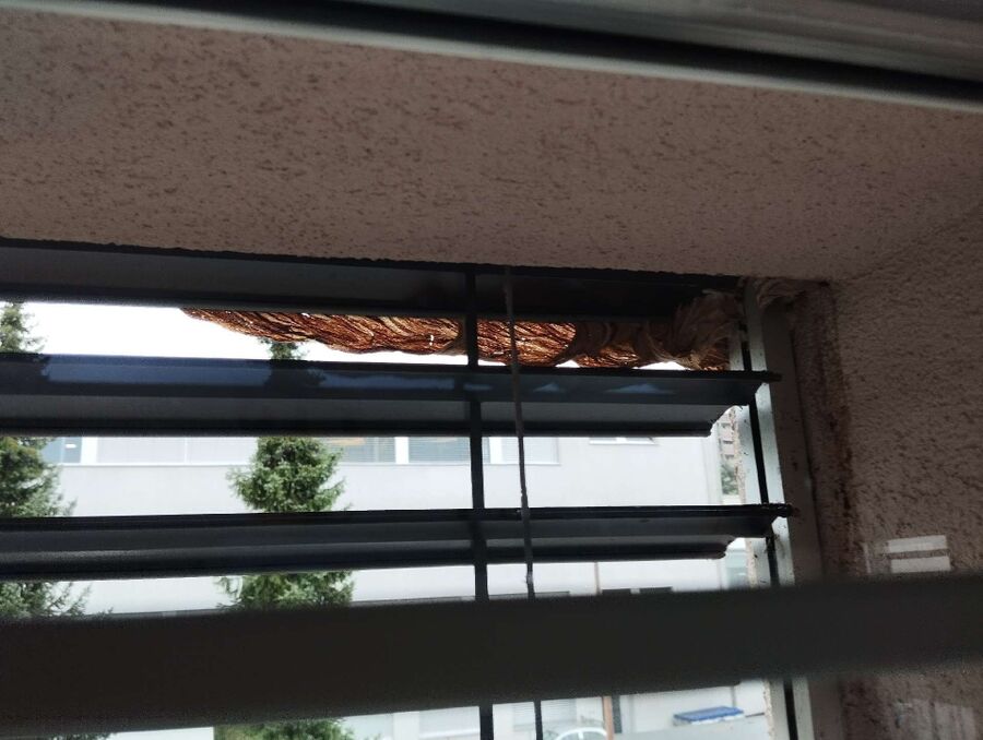 Bee nest at the house remove