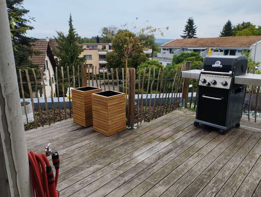 Relocate bees & remove bee nest