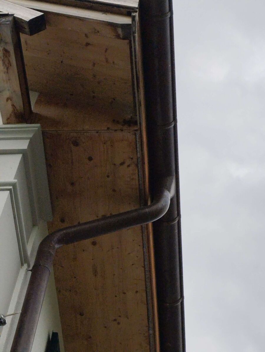 Bee nest at the house remove