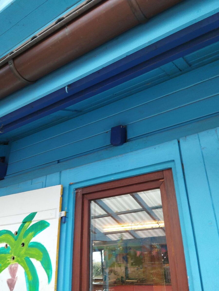 Bee nest at the house remove