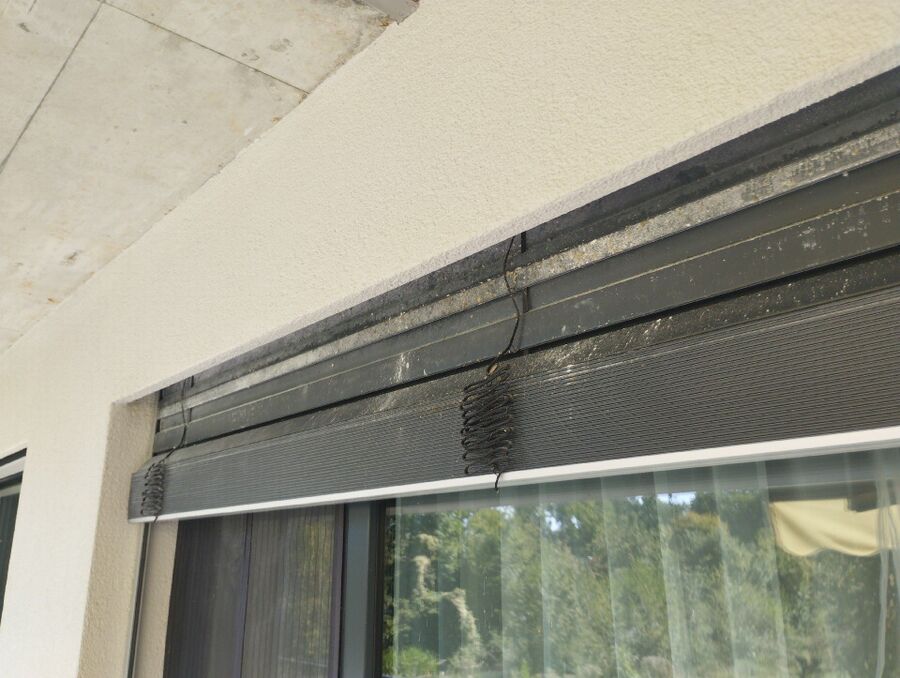 Bee nest at the house remove