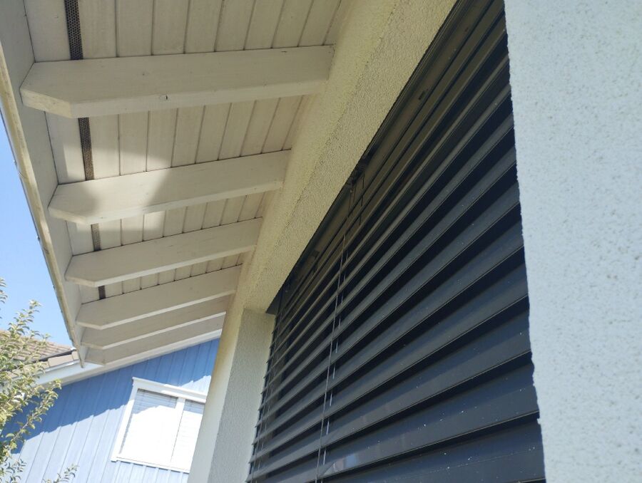 Bee nest at the house remove