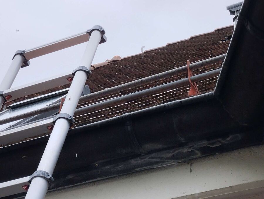 Bee nest at the house remove