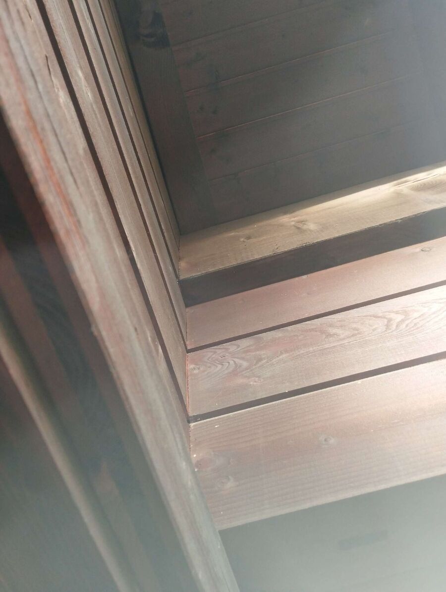 Bee nest at the house remove