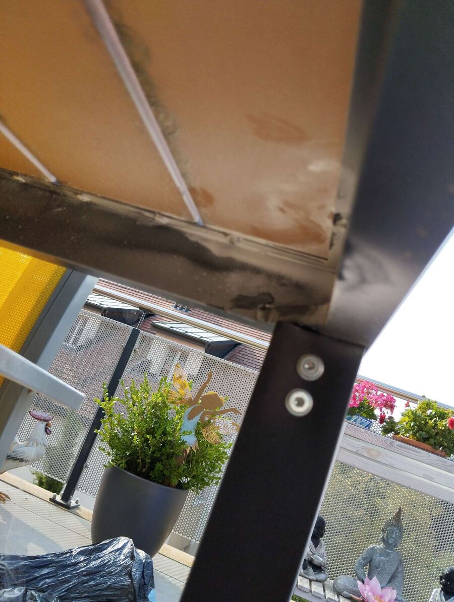 Bee nest at the house remove