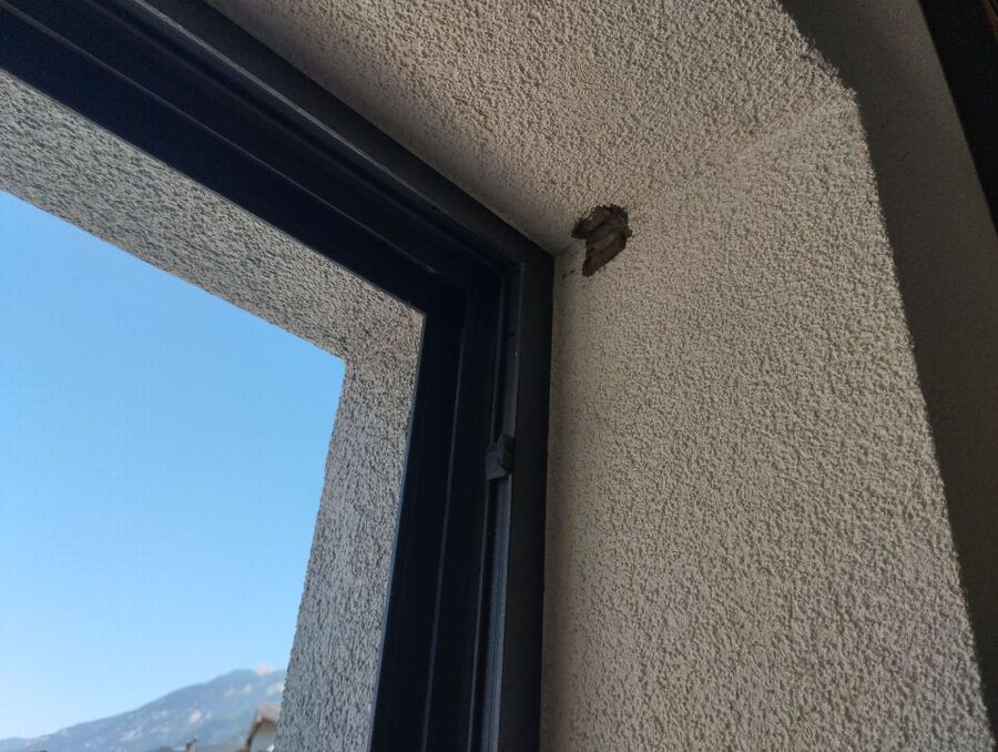 Bee nest at the house remove