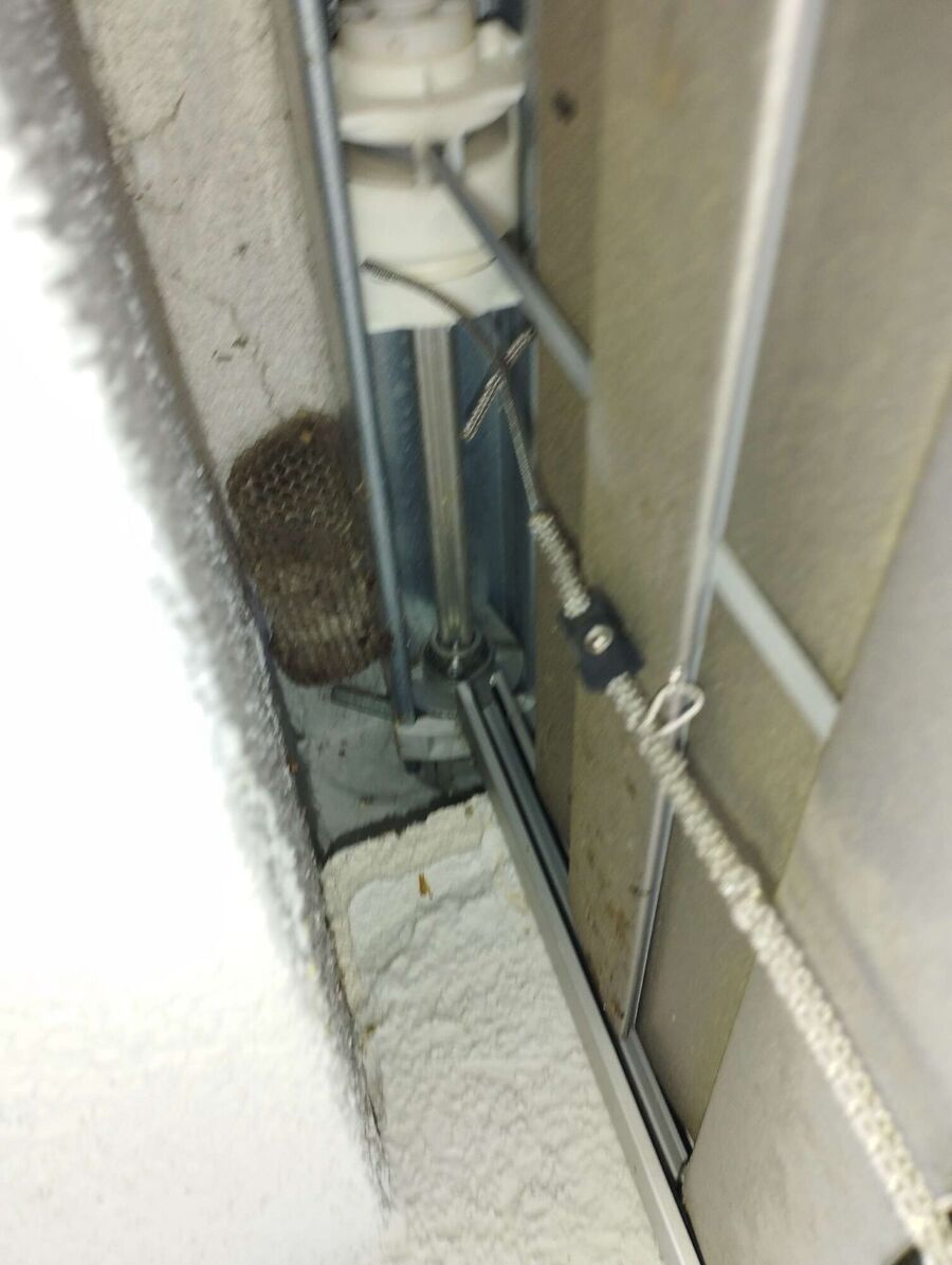 Relocate bees & remove bee nest