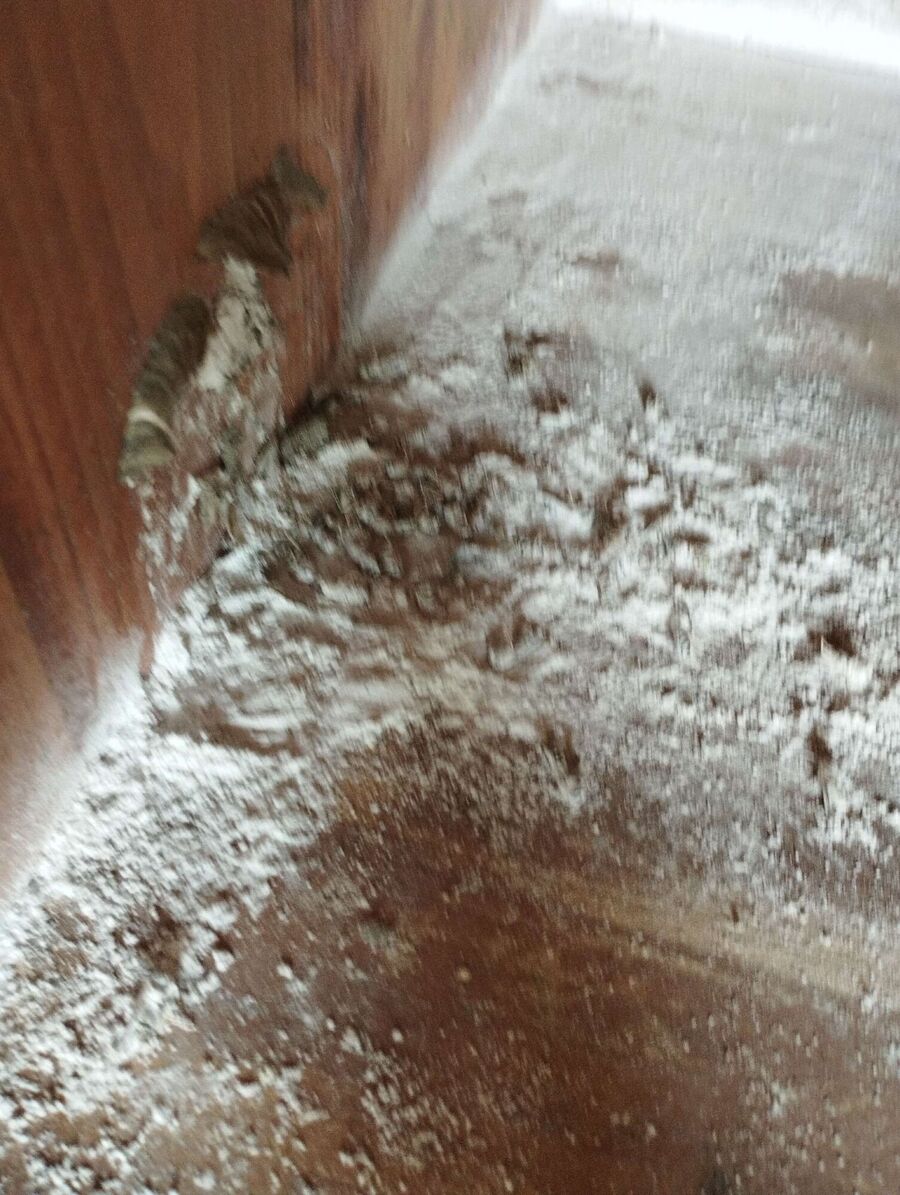 Bee nest at the house remove