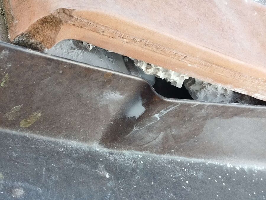 Relocate bees & remove bee nest