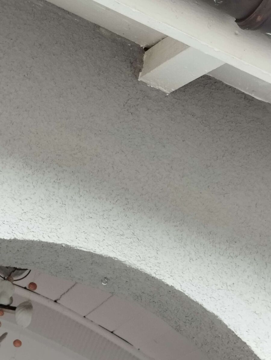 Bee nest at the house remove