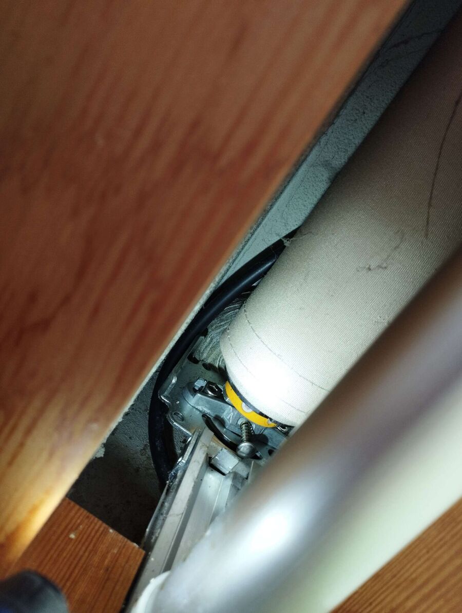 Relocate bees & remove bee nest