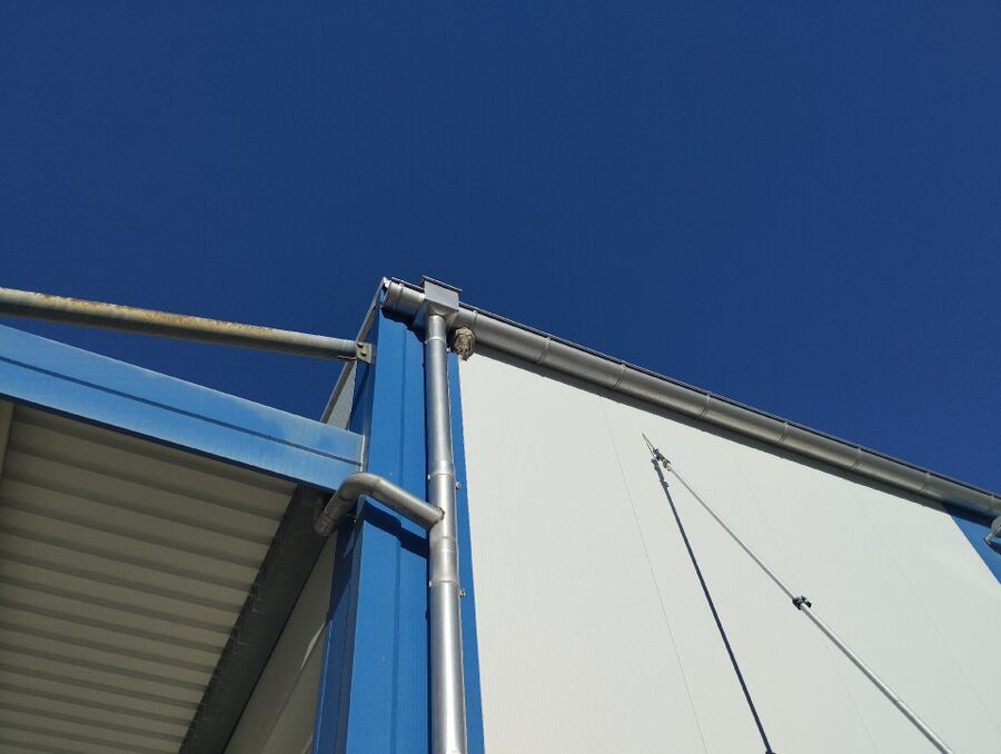 Relocate bees & remove bee nest