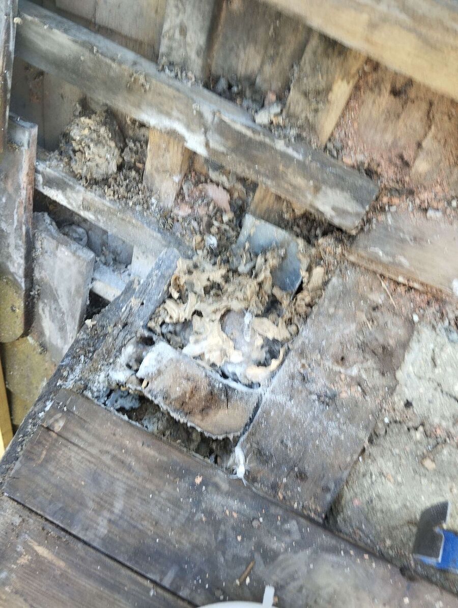 Bee nest at the house remove