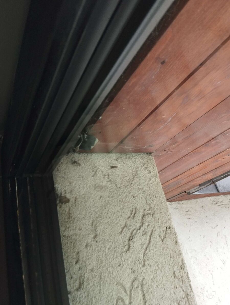 Bee nest at the house remove