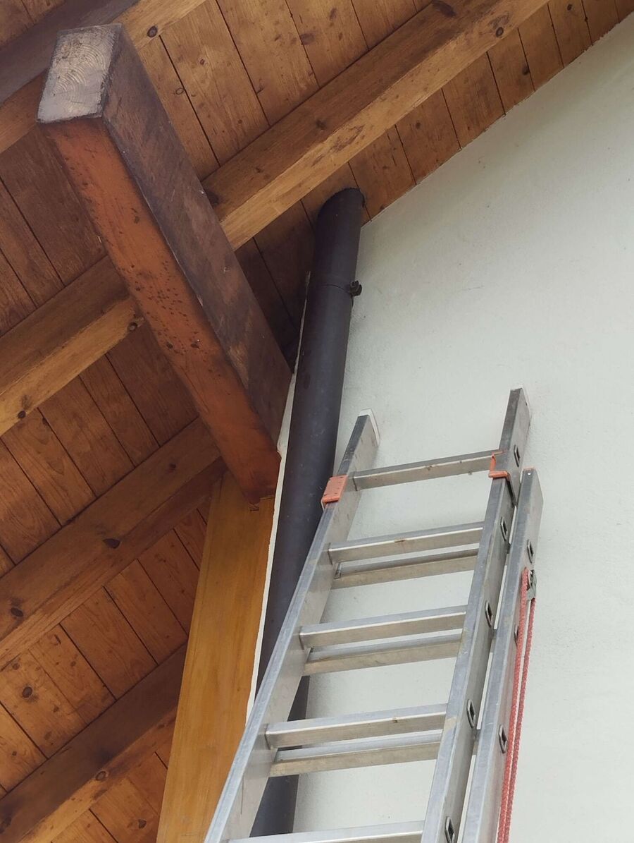 Relocate bees & remove bee nest