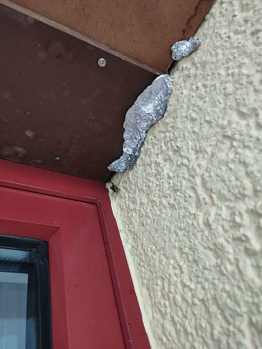 Bee nest at the house remove