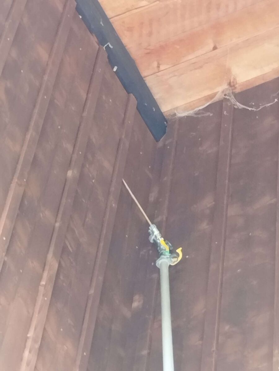 Bee nest at the house remove