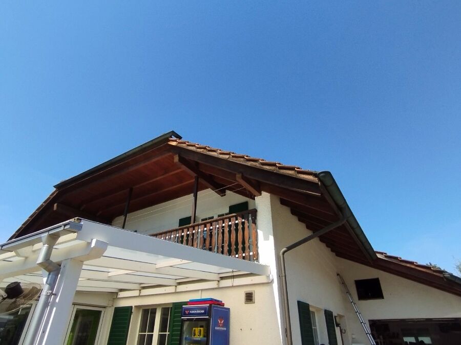 Bee nest at the house remove