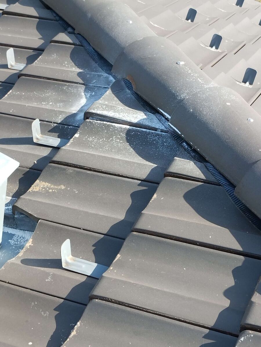 Bee nest at the house remove