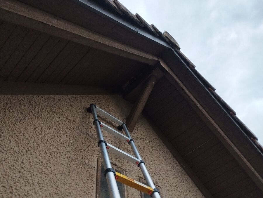 Bee nest at the house remove