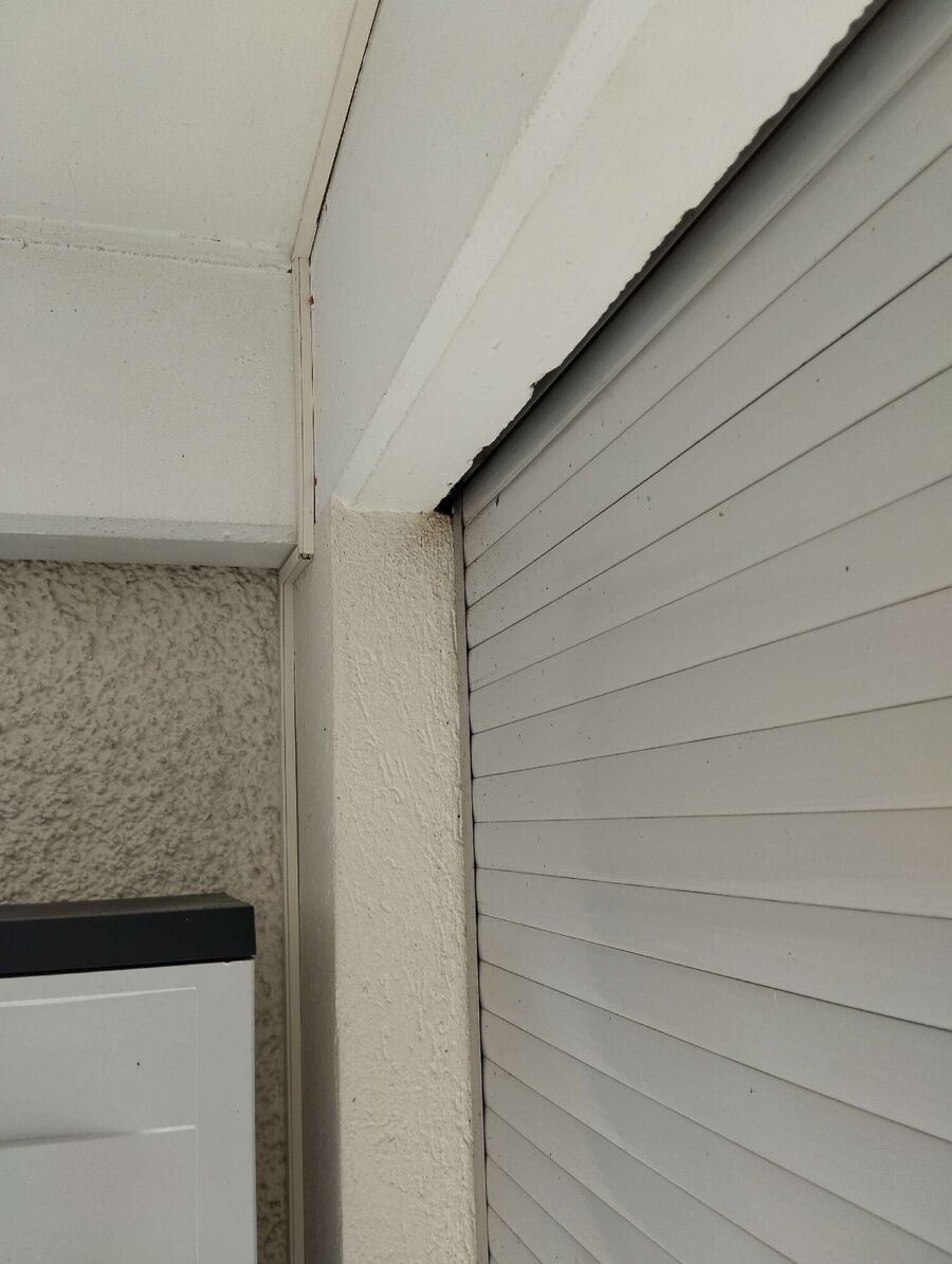 Bee nest at the house remove