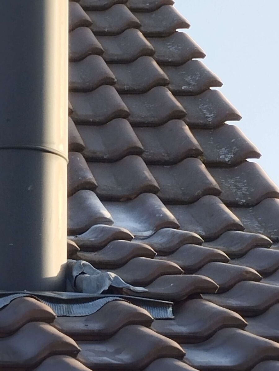 Bee nest at the house remove