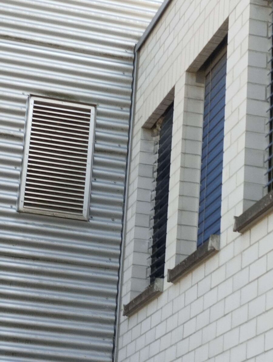 Bee nest at the house remove