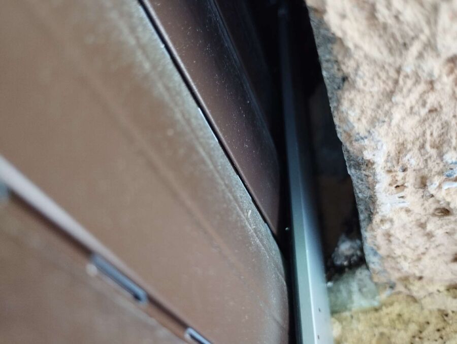 Relocate bees & remove bee nest