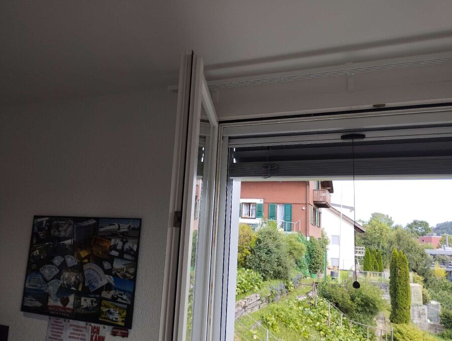 Relocate bees & remove bee nest