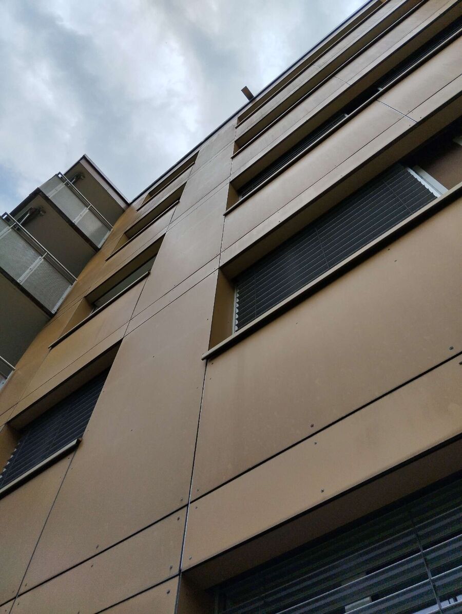 Bee nest at the house remove