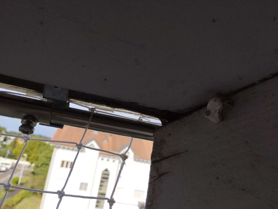 Relocate bees & remove bee nest