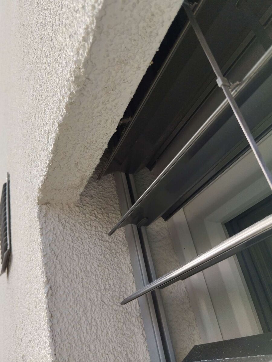 Relocate bees & remove bee nest