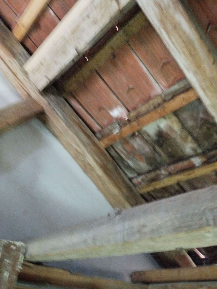 Bee nest at the house remove