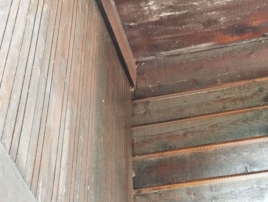 Bee nest at the house remove