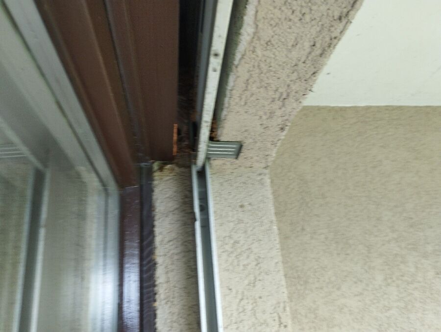 Bee nest at the house remove