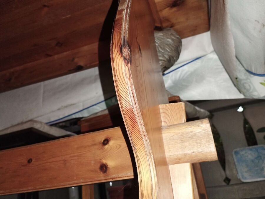 Relocate bees & remove bee nest