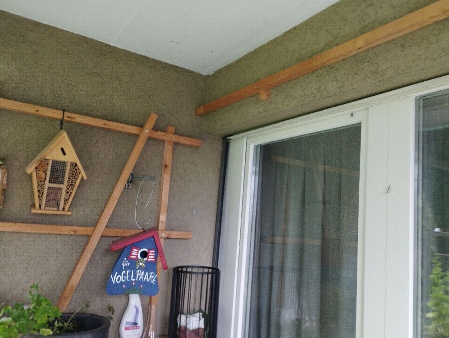 Bee nest at the house remove