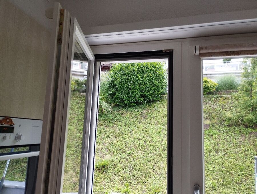 Bee nest at the house remove