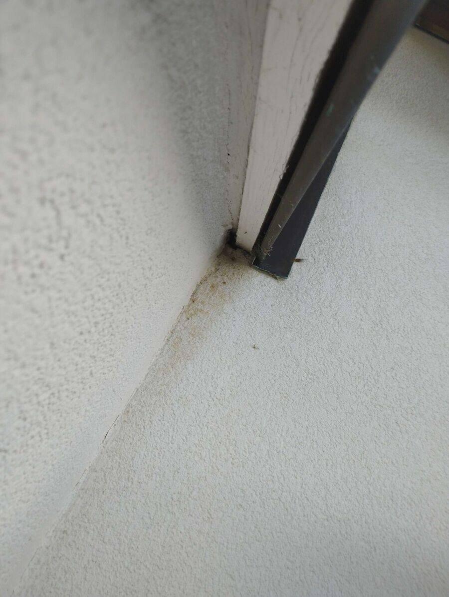 Bee nest at the house remove