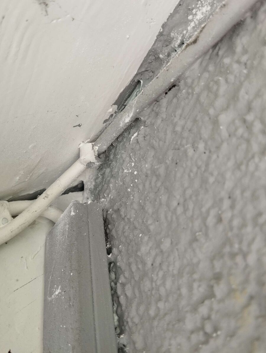 Bee nest at the house remove