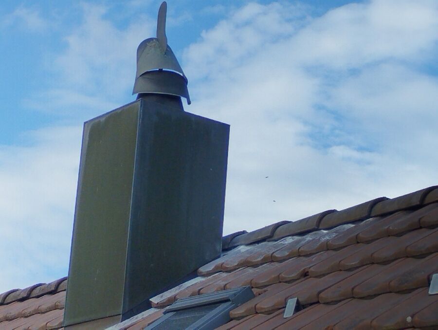 Relocate bees & remove bee nest