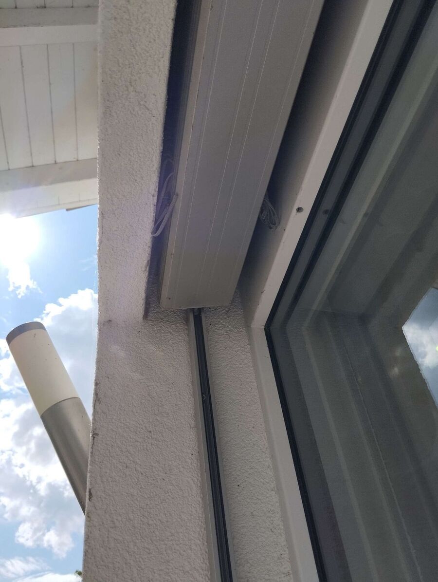 Relocate bees & remove bee nest