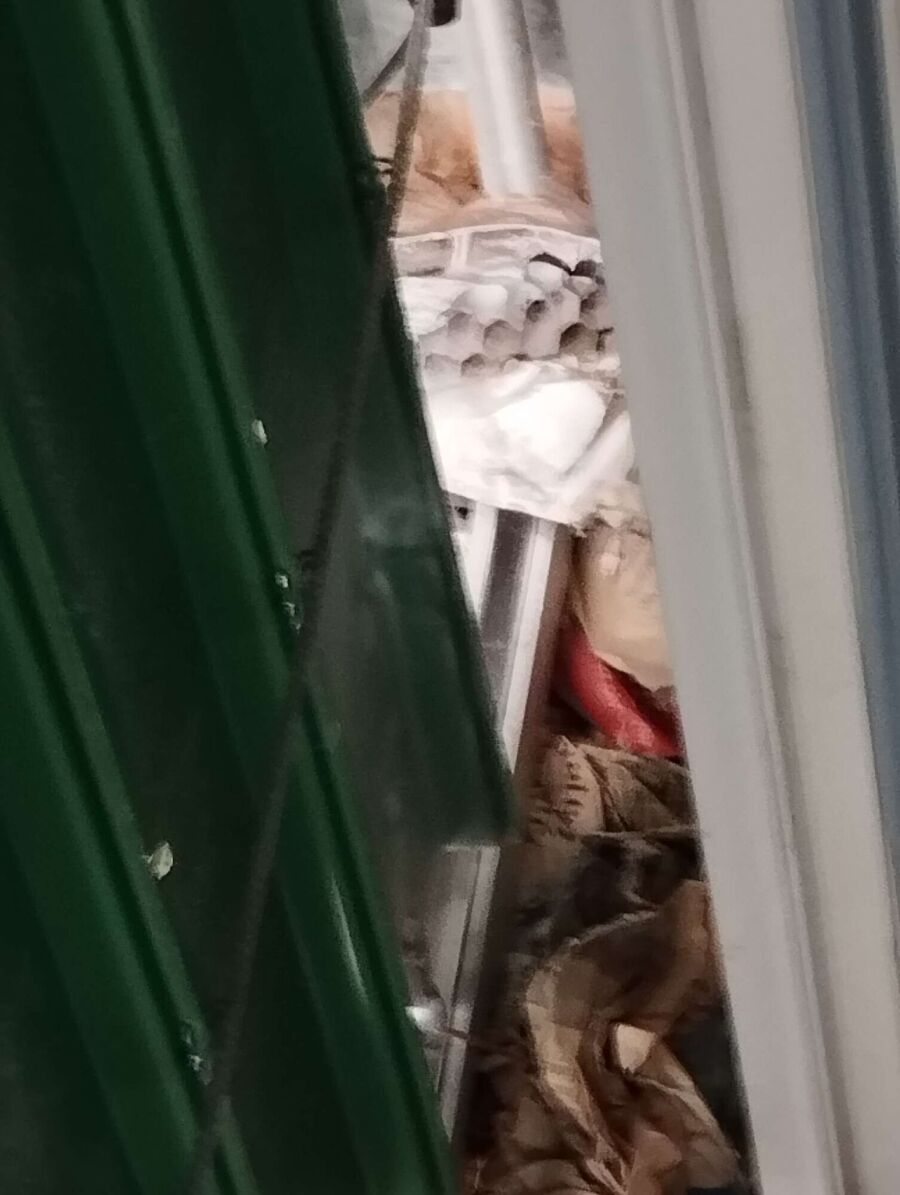 Bee nest at the house remove