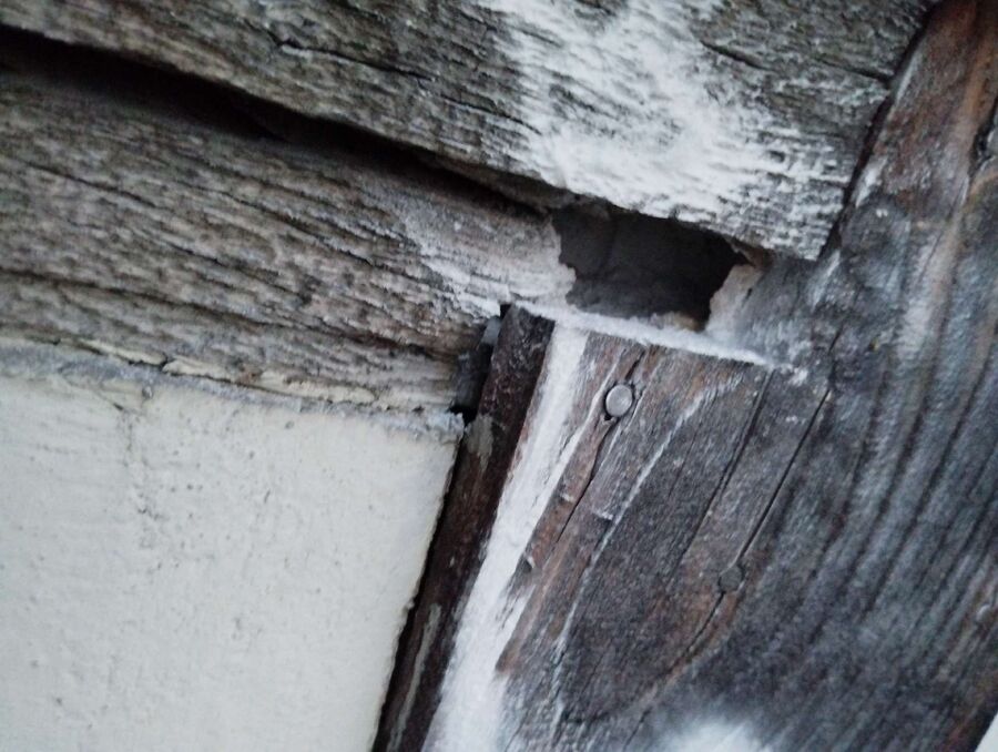 Bee nest at the house remove