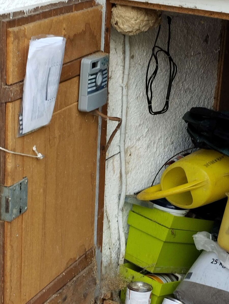 Bee nest at the house remove