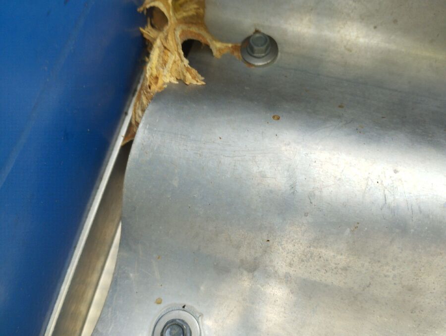 Bee nest at the house remove