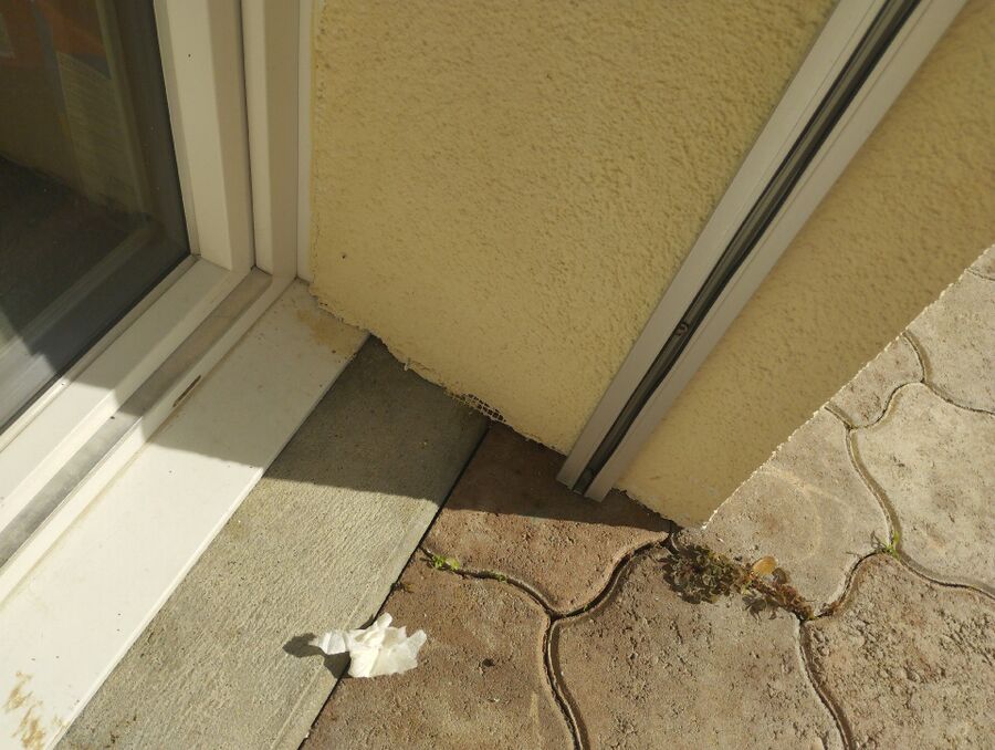 Relocate bees & remove bee nest