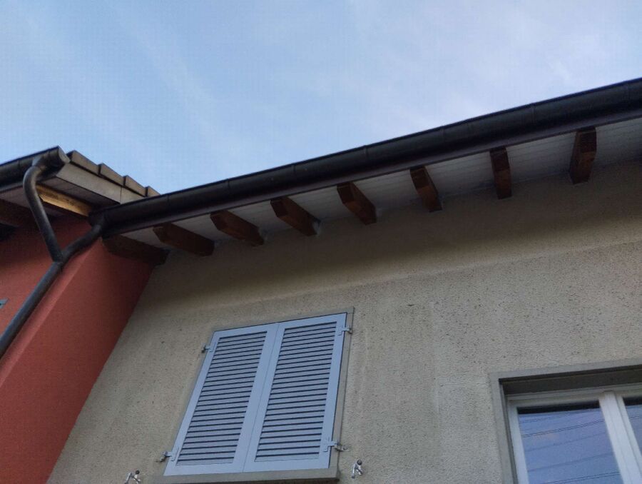 Bee nest at the house remove