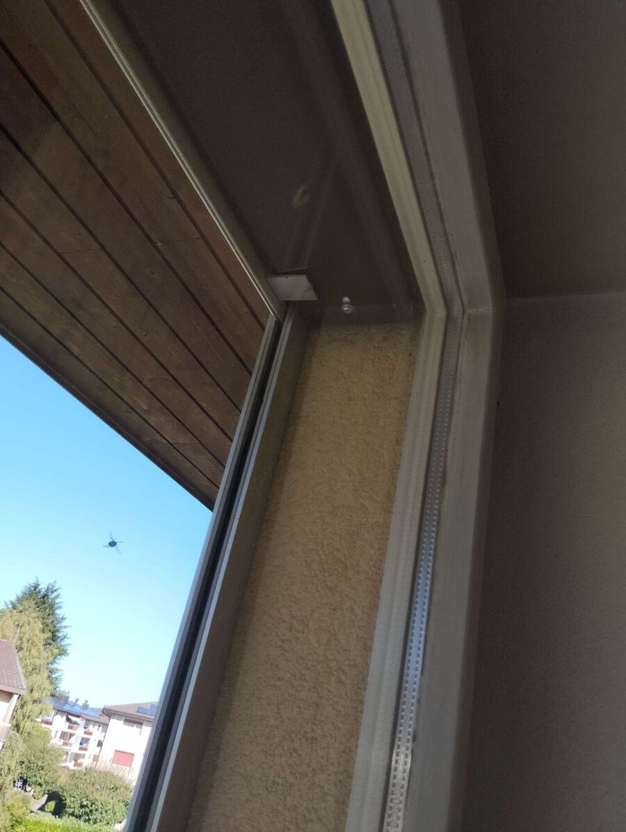 Bee nest at the house remove