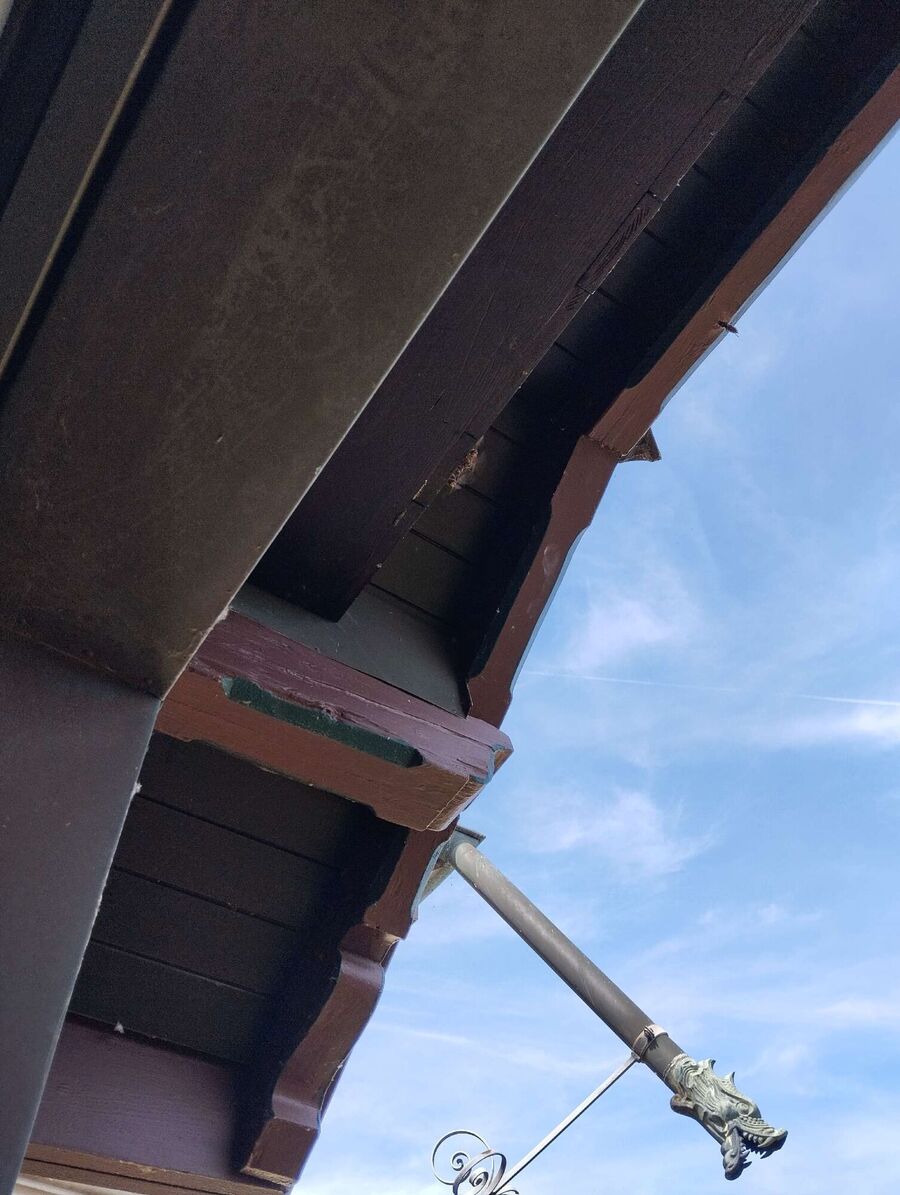 Bee nest at the house remove